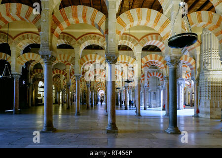 Portici nella Grande Sala della Cattedrale e ex grande moschea di Cordova, Spagna. Foto Stock