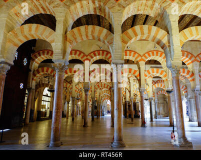 Portici nella Grande Sala della Cattedrale e ex grande moschea di Cordova, Spagna. Foto Stock