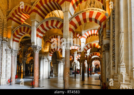 Portici nella Grande Sala della Cattedrale e ex grande moschea di Cordova, Spagna. Foto Stock