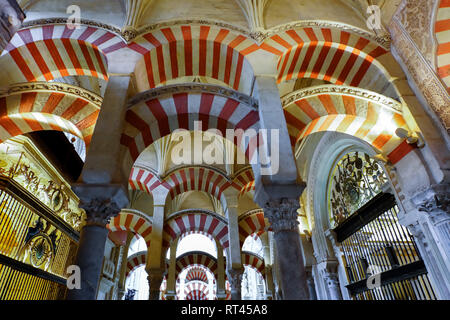 Portici nella Grande Sala della Cattedrale e ex grande moschea di Cordova, Spagna. Foto Stock