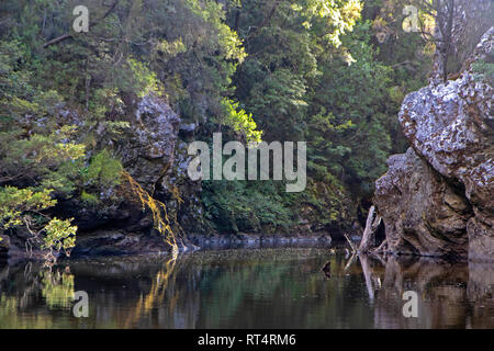 Il Franklin fiume al suo incrocio con il fiume Colliongwood Foto Stock