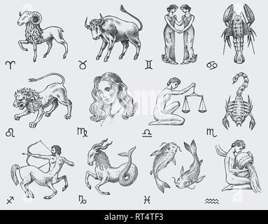 Icone dello zodiaco. Astrologia oroscopo con segni. Calendario modello. Profilo di raccolta degli animali. In stile vintage. Bilancia Scorpione Sagittario Capricorno Illustrazione Vettoriale