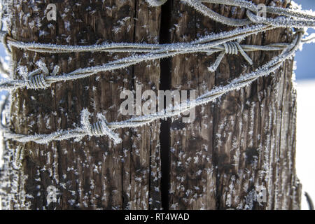 Una foto macro di trasformata per forte gradiente brina sul filo spinato nei pressi di Coeur d'Alene, Idaho. Foto Stock