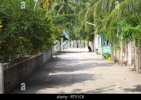 Strada maldiviano con palme, case colorate e un isolato (scooter atollo di Ari, Maldive) Foto Stock