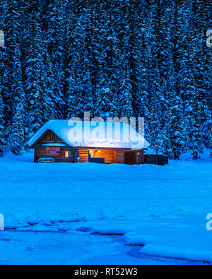 Cabina sul bordo di una foresta di pino sulla sponda del Lago Louise in inverno durante il blu ora prima dell'alba, il Parco Nazionale di Banff, Alberta, Canada Foto Stock