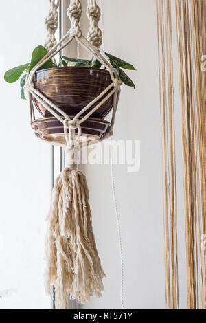 Macrame piantatori di cotone bianco corda con una pianta di casa in un vaso di ceramica appeso mediante la finestra Foto Stock