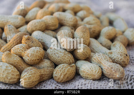 Arachidi (Arachis hypogaea) sulla superficie del sacco Foto Stock