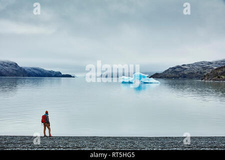 Il Cile, parco nazionale Torres del Paine, lago grigio, donna in piedi sulla riva guardando iceberg Foto Stock