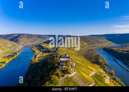 In Germania, in Renania Palatinato, vigneti e Marienburg vicino Puenderich, fiume Moselle Foto Stock