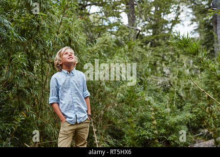 Il Cile, Puren, Nahuelbuta National Park, ragazzo in piedi nella foresta di bamboo cercando Foto Stock