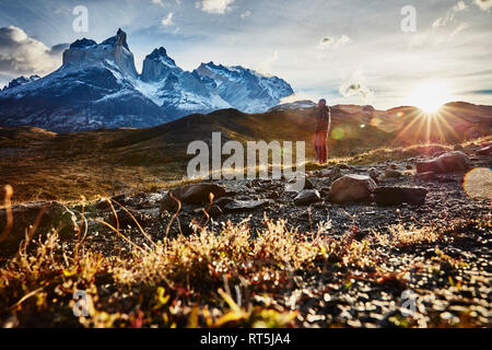 Il Cile, parco nazionale Torres del Paine, uomo in piedi di fronte a Torres del Paine massiccio di sunrise Foto Stock