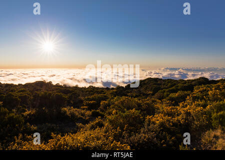 Reunion, Reunion National Park, Maido Viewpoint, vista dal vulcano Maido a mare di nubi e al tramonto Foto Stock