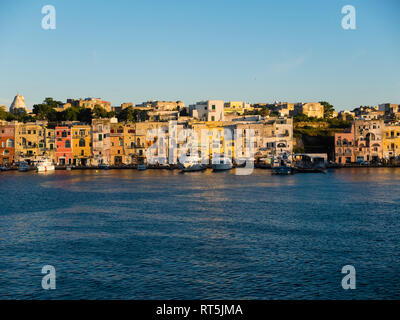 L'Italia, Campania, Napoli, Golfo di Napoli, Isola di Procida, città nella luce del mattino Foto Stock