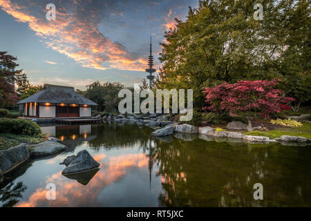 Germania, Amburgo, Giardino Giapponese al parco Planten un Blomen Foto Stock