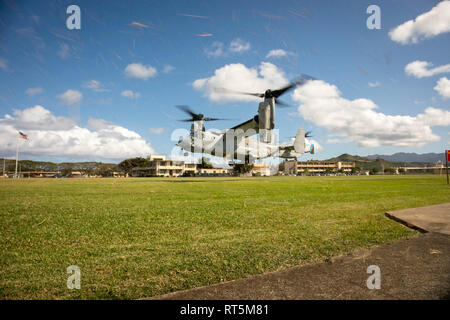 Due MV-22B Osprey tiltrotor elicottero assegnato a mezzo marino Tiltrotor Squadron 268 prendere fuori dalla zona di atterraggio 216 durante un aereo abbattuto scenario, Marine Corps base Hawaii, 27 febbraio 2019. Stati Uniti Marines con armi Company, 2° Battaglione, 3° Reggimento Marine e VMM-268 lungo con la A-10 Thunderbolt II attacco aeromobile assegnati al 442nd Fighter Wing da Whiteman Air Force Base, Missour condurre attività di formazione costituito da una simulazione di recupero tattico di aeromobili personale scenario e a combattere la ricerca e il salvataggio dello scenario. (U.S. Marine Corps foto di Sgt. Zachary Orr) Foto Stock