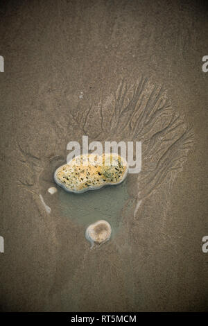 Pietre sulla sabbia bagnata sulla spiaggia Foto Stock