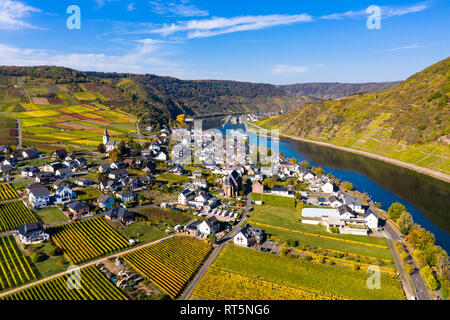 In Germania, in Renania Palatinato, Poltersdorf, fiume Moselle Foto Stock