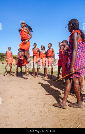 Masai Mara, Kenya, 23 Maggio 2017: Masai guerrieri in costume tradizionale jumping durante un rituale. Foto Stock