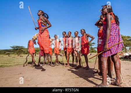 Masai Mara, Kenya, 23 Maggio 2017: Masai guerrieri in costume tradizionale jumping durante un rituale. Foto Stock