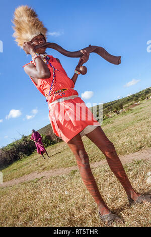 Masai Mara, Kenya, 23 Maggio 2017: guerriero Masai in costume tradizionale di suonare il clacson durante una cerimonia Foto Stock