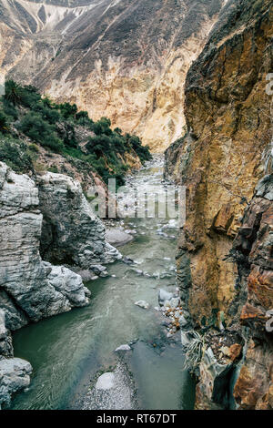 Il Canion del Colca, uno del mondo più profondo canyon, situato nella zona meridionale del Perù. Foto Stock