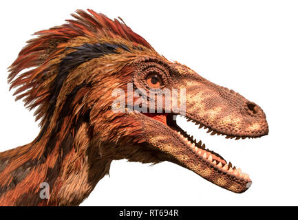 Ritratto di Deinonychus antirrhopus. Testa di dinosauro con bocca aperta isolata su uno sfondo bianco. Foto Stock