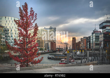 Germania, Amburgo, Elbe Philharmonic Hall in autunno Foto Stock