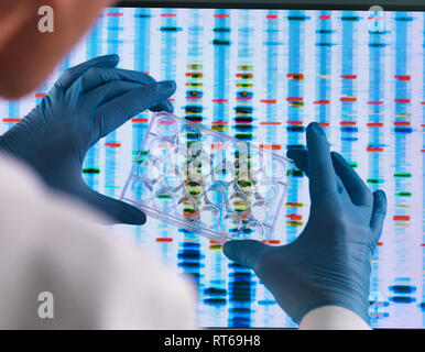 Scienziato tenendo un multi ben piastra utilizzata per i test genetici con i risultati su un computer sceeen in un laboratorio Foto Stock