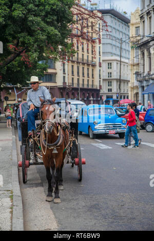 L'Avana, Cuba - 19 Gennaio 2013: le strade di La Habana, molto vecchie automobili americane sulle strade e a cavallo il pullman con i turisti. Foto Stock