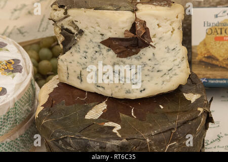 Vecchio picos formaggio blu avvolto in foglie di acero Foto Stock