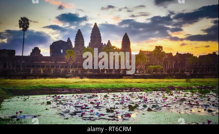 Angkor Wat riflettendo in acqua del laghetto di loto di sunrise. Siem Reap. Cambogia. Foto Stock