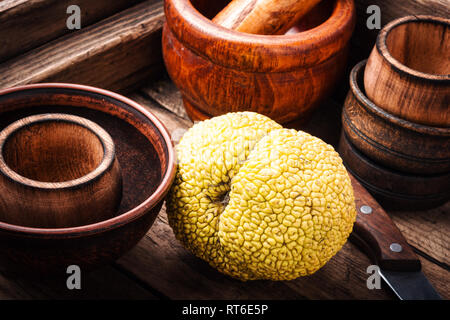 Maclura frutta, Adams apple.potente antiossidante. Maclura nella medicina popolare Foto Stock