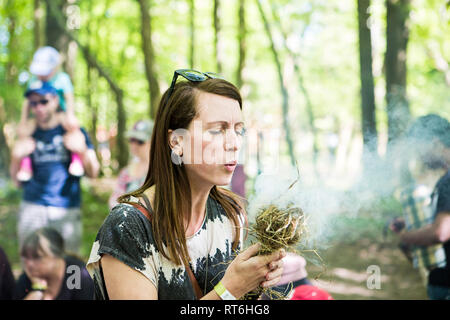 Incendio delle competenze a Beltane Fire Festival, Sussex, Regno Unito Foto Stock