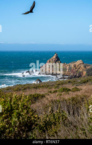 Onde infrangersi onshore lungo la Highway One e California's Big Sur Costa. Foto Stock