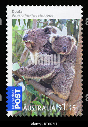 AUSTRALIA - circa 2009: un australiano utilizzato Francobollo che mostra il Koala Bear, circa 2009. Foto Stock