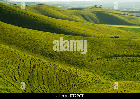 Erosione naturale ,Wiltshire Foto Stock