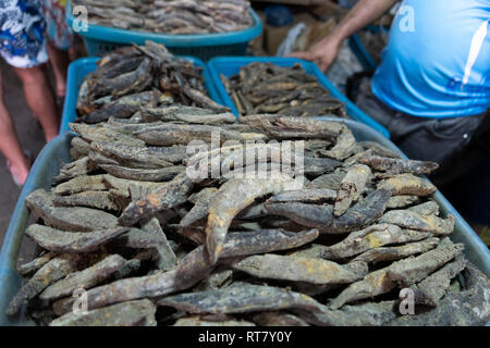 India maschio mercato del pesce: il pesce essiccato in Maldive asia Foto Stock