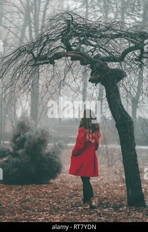 Red Riding Hood in attesa nella foresta Foto Stock