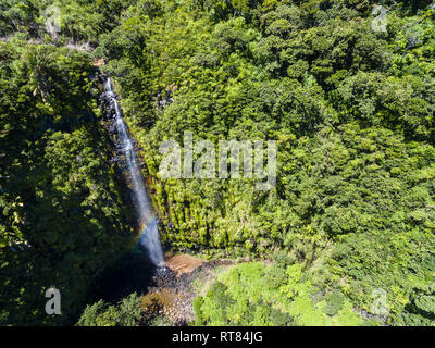 Maurizio, Black River Gorges National Park, vista aerea del Mare Aux Joncs cascata Foto Stock