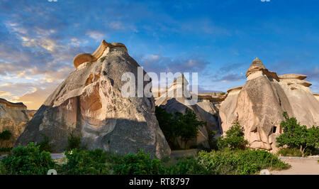 Foto e immagini della fata camino formazioni rocciose e pilastri di roccia di "Pasaba Valle" nei pressi di Goreme, Cappadocia, Nevsehir, Turchia Foto Stock