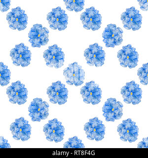 Carino acquerello bleu fiori pattern su sfondo bianco. Elegante modello per stampe di moda. Foto Stock