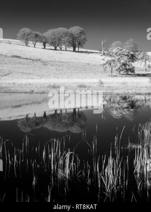 Una immagine infrarossa della piscina Waldergrave a Priddy Mineries in Mendip Hills, Somerset, Inghilterra. Foto Stock