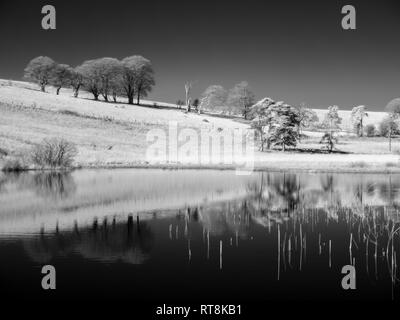 Una immagine infrarossa della piscina Waldergrave a Priddy Mineries in Mendip Hills, Somerset, Inghilterra. Foto Stock