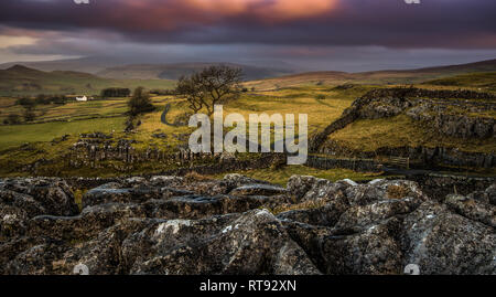 Winskill pietre è una piccola riserva naturale al di sopra dei villaggi di Langcliffe e Stainforth nel Yorkshire Dales. Foto Stock