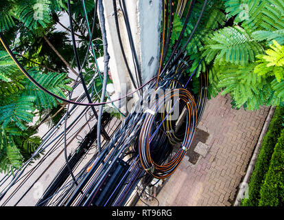 Cavo di alimentazione elettrica di linea e di cavo di comunicazione linea di laici e roll insieme su poli elettrici e alberi accanto a Foto Stock