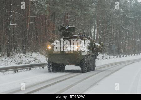 Strykers assegnato al primo squadrone, secondo reggimento di cavalleria da Vilseck, Germania, sul loro modo di zona Z, Baumholder zona di addestramento militare, Baumholder, Germania il 29 gennaio , 2019. 1/2CR sta attualmente conducendo il funzionamento Kriegsadler per sviluppare il plotone di livello proficiency tattici, squadrone di supporto e di efficacia organizzativa generale la letalità. Foto Stock