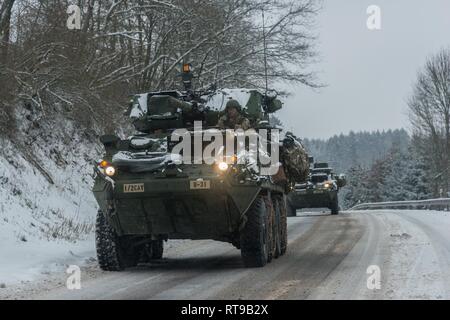 Strykers assegnato al primo squadrone, secondo reggimento di cavalleria da Vilseck, Germania, sul loro modo di zona Z, Baumholder zona di addestramento militare, Baumholder, Germania il 29 gennaio , 2019. 1/2CR sta attualmente conducendo il funzionamento Kriegsadler per sviluppare il plotone di livello proficiency tattici, squadrone di supporto e di efficacia organizzativa generale la letalità. Foto Stock