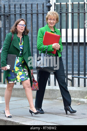 Andrea Leadsom MP (Leader della House of Commons) lasciando Downing Street con Natalie Evans / La Baronessa Evans di Bowes Park (leader della casa di Lo Foto Stock