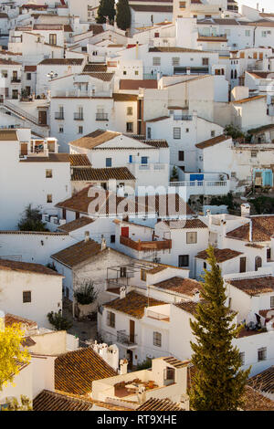 Il cosiddetto villaggio bianco di Comares nella provincia di Malaga in Andalusia Spagna meridionale che si trova sulla cima di una collina e visto da miglia intorno Foto Stock