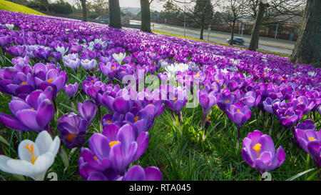 Crochi en MESSA A90 Stonehaven Road, Aberdeen Foto Stock